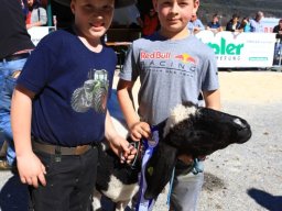 2019_ausstellung polling_458